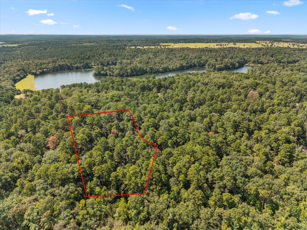 229 County Road 4554 Winnsboro, TX 75494