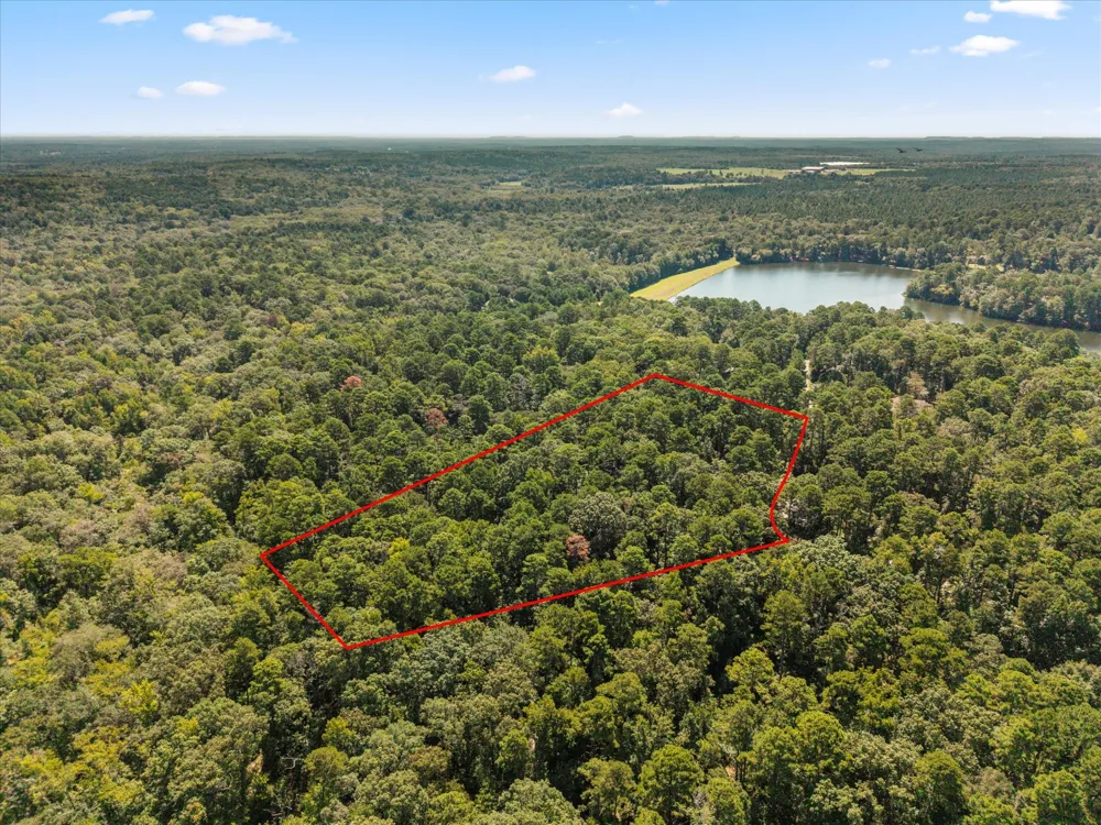 229 County Road 4554 Winnsboro, TX 75494