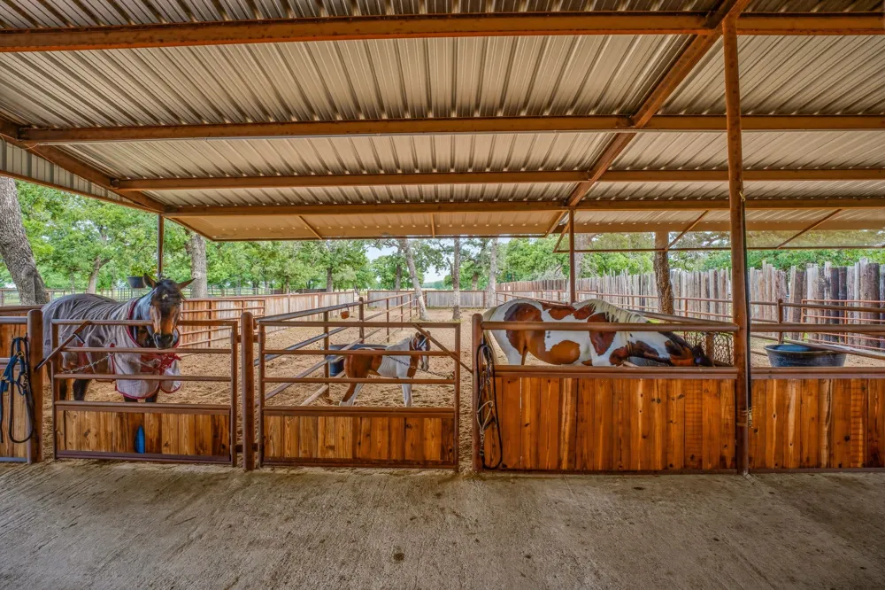 6363 E Fm 1188 Bluff Dale, TX 76433