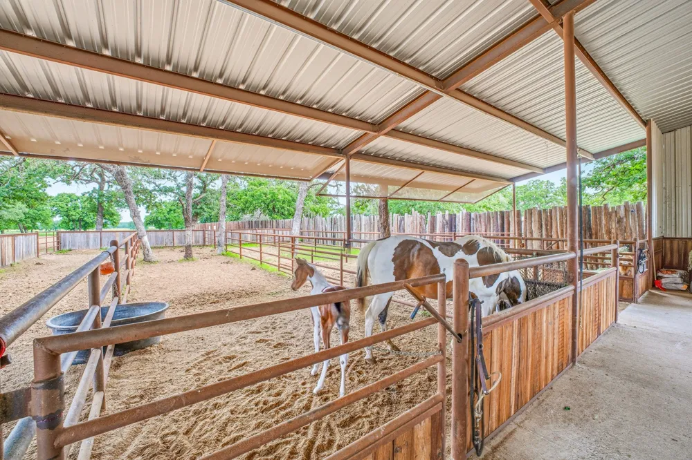 6363 E Fm 1188 Bluff Dale, TX 76433