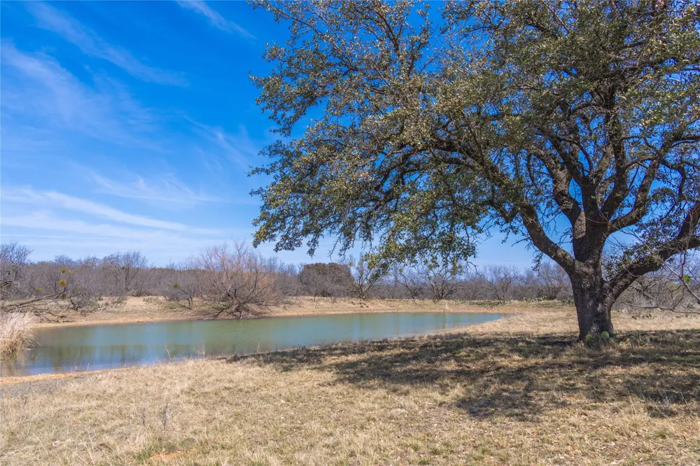 91 Co Rd 370 Carbon, TX 76435