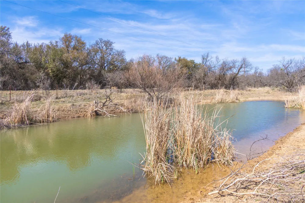 91 Co Rd 370 Carbon, TX 76435