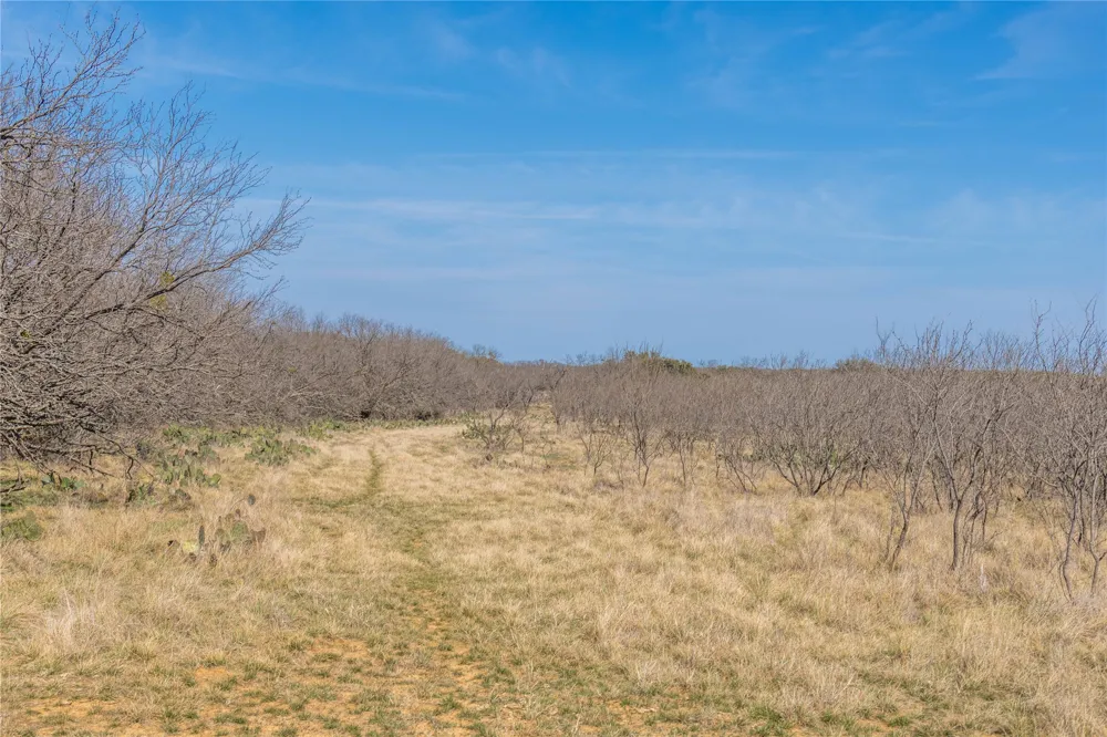 91 Co Rd 370 Carbon, TX 76435