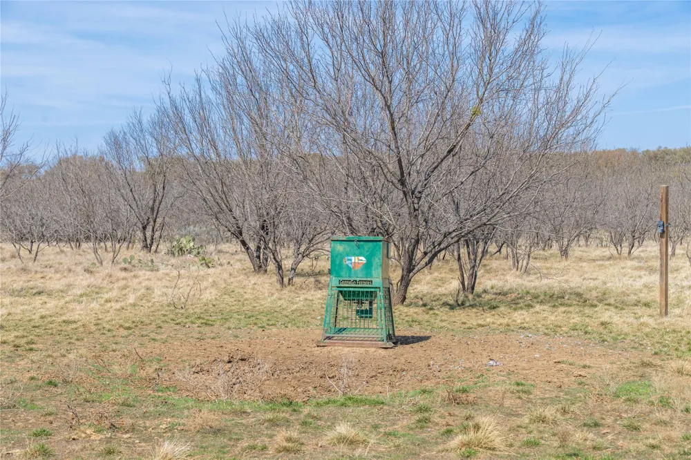 91 Co Rd 370 Carbon, TX 76435