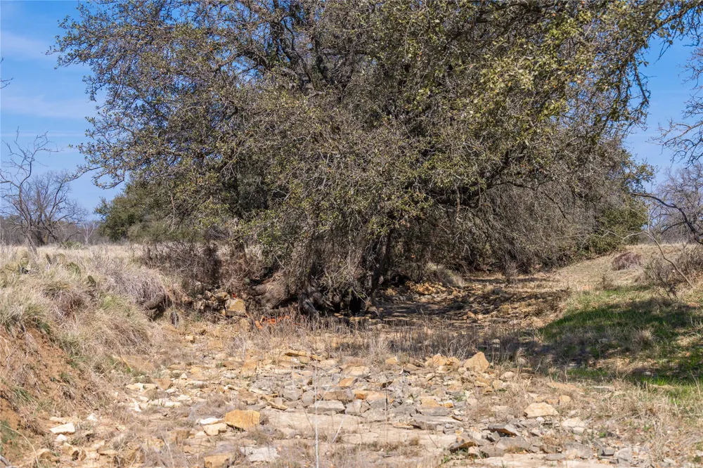 91 Co Rd 370 Carbon, TX 76435