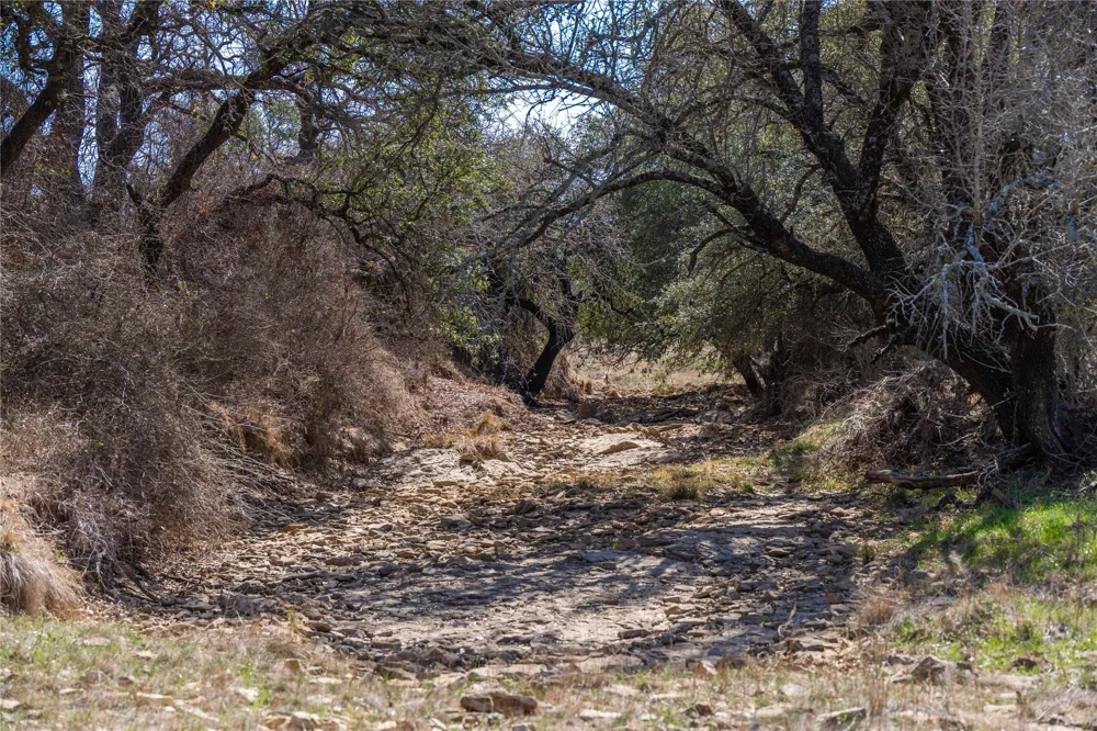 91 Co Rd 370 Carbon, TX 76435