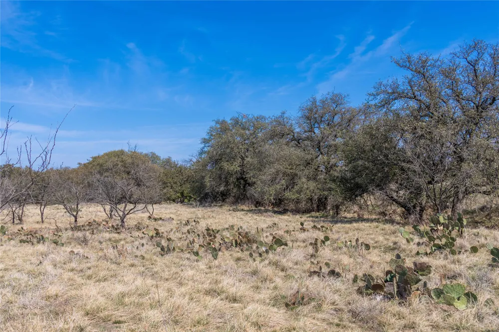 91 Co Rd 370 Carbon, TX 76435