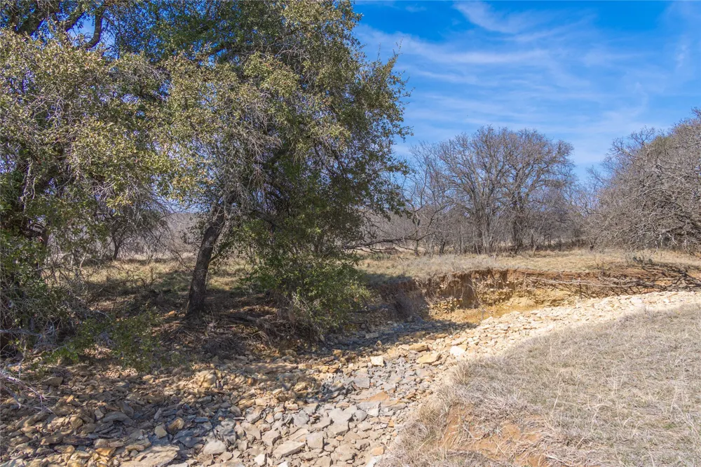 91 Co Rd 370 Carbon, TX 76435