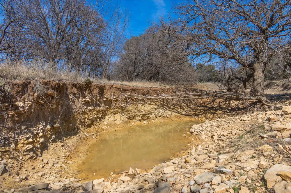 91 Co Rd 370 Carbon, TX 76435