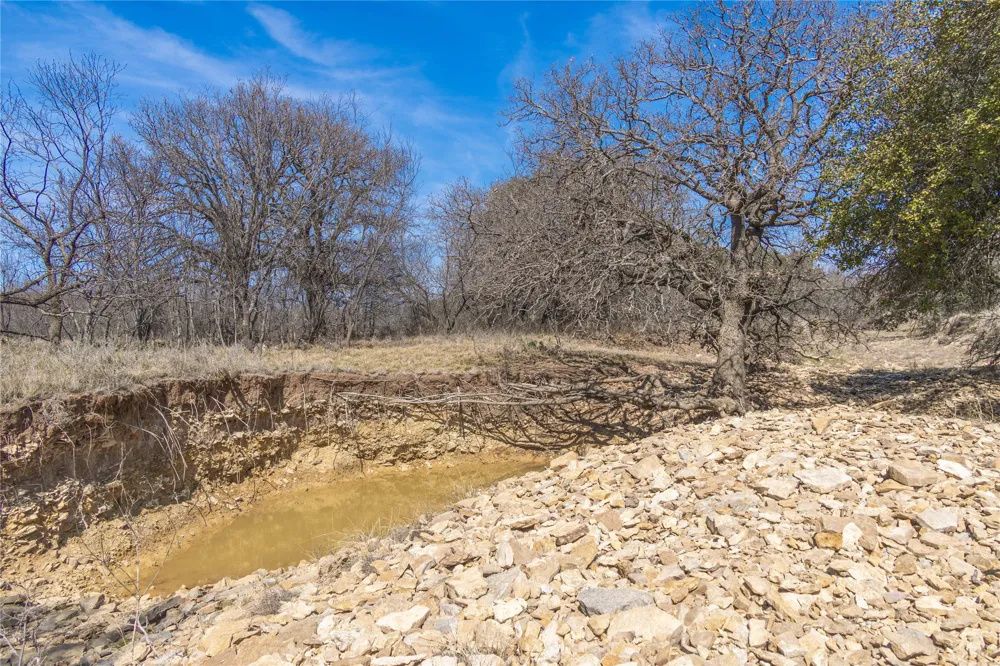91 Co Rd 370 Carbon, TX 76435