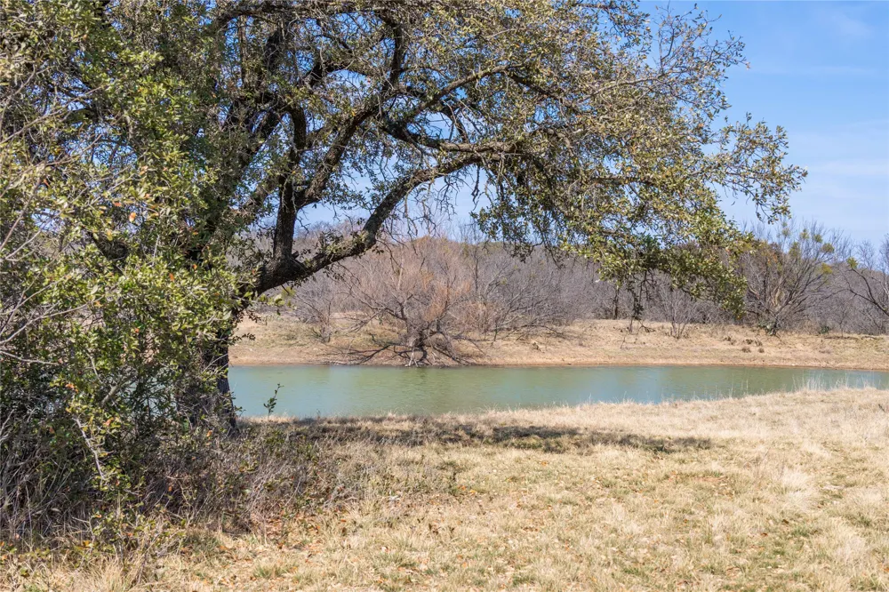 91 Co Rd 370 Carbon, TX 76435