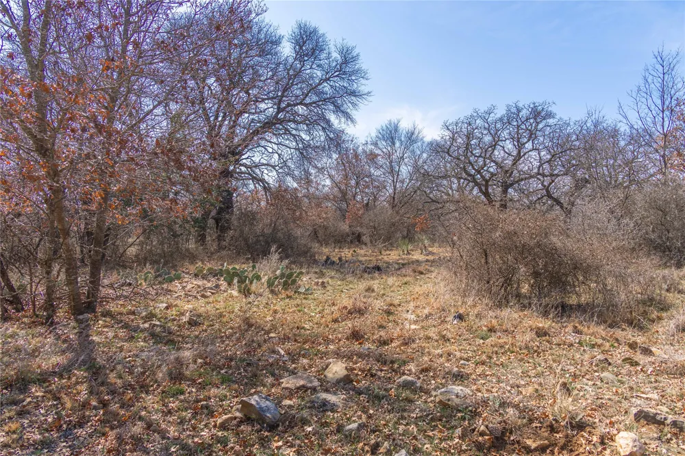 91 Co Rd 370 Carbon, TX 76435