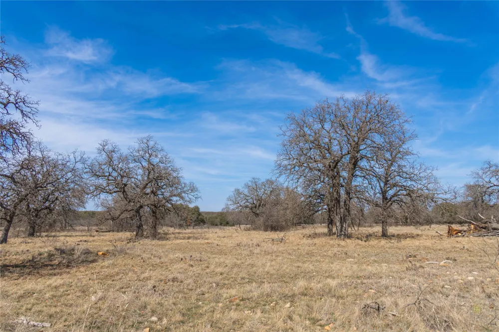 91 Co Rd 370 Carbon, TX 76435