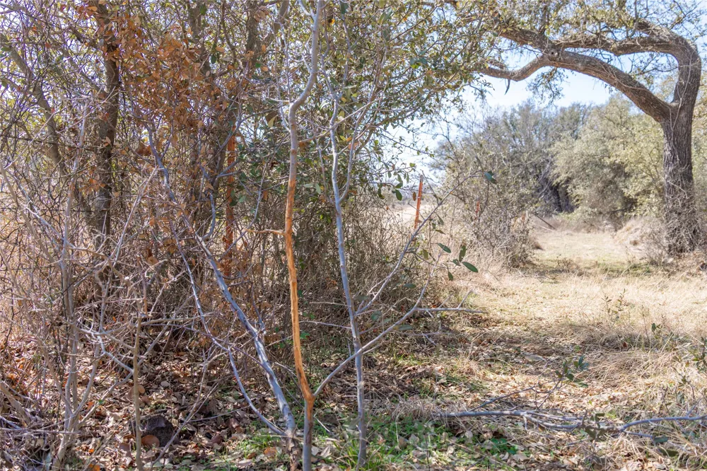 91 Co Rd 370 Carbon, TX 76435