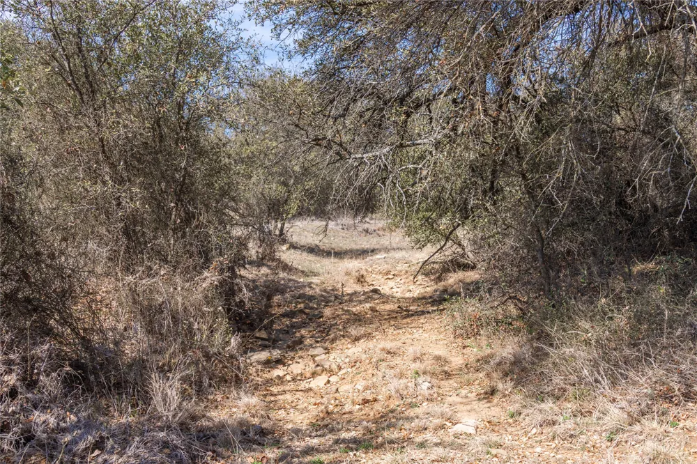 91 Co Rd 370 Carbon, TX 76435