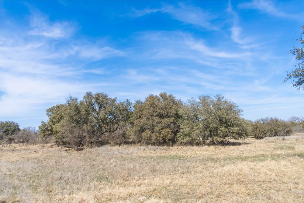 91 Co Rd 370 Carbon, TX 76435