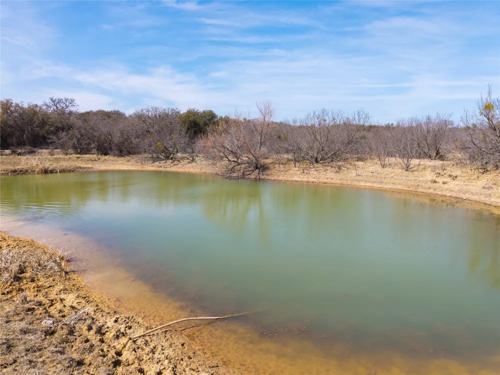 91 Co Rd 370 Carbon, TX 76435