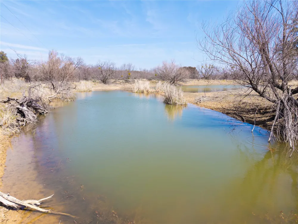 91 Co Rd 370 Carbon, TX 76435