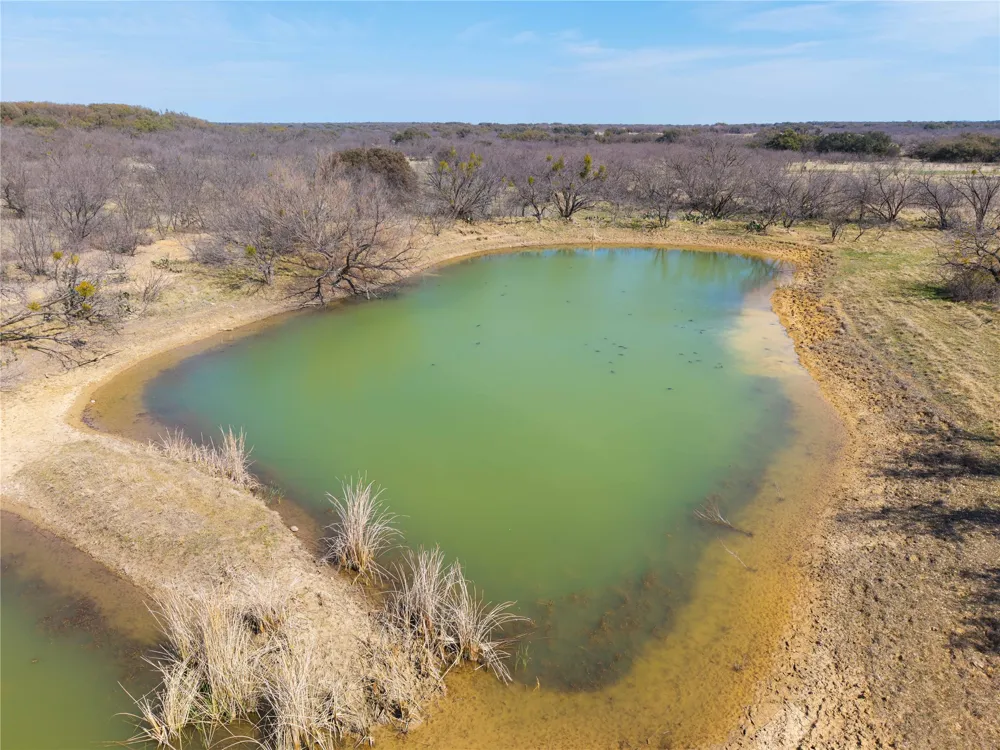 91 Co Rd 370 Carbon, TX 76435