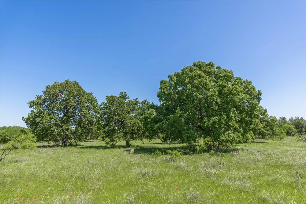 91 Co Rd 370 Carbon, TX 76435