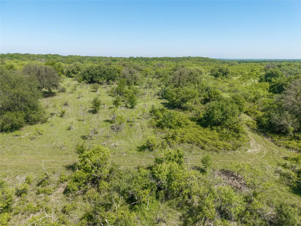 91 Co Rd 370 Carbon, TX 76435