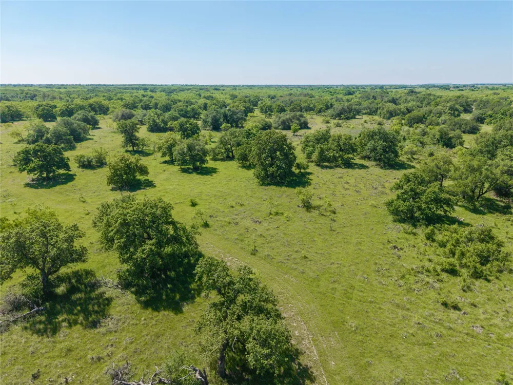 91 Co Rd 370 Carbon, TX 76435