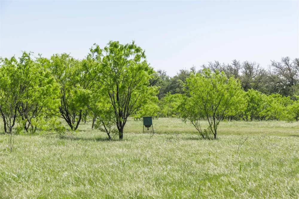 91 Co Rd 370 Carbon, TX 76435