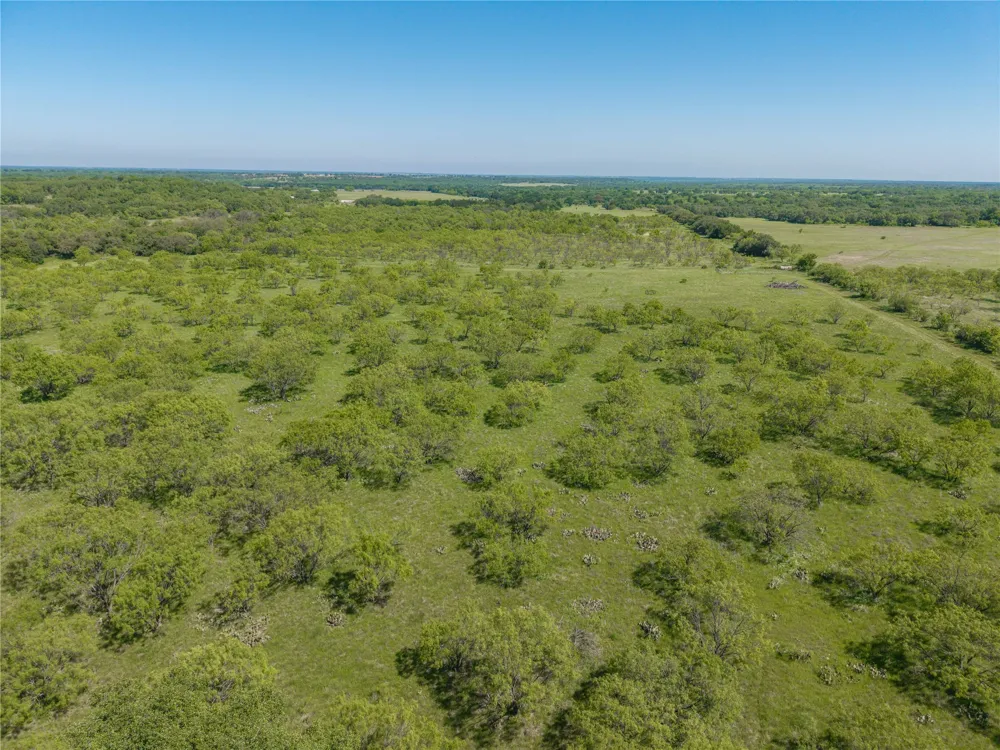 91 Co Rd 370 Carbon, TX 76435