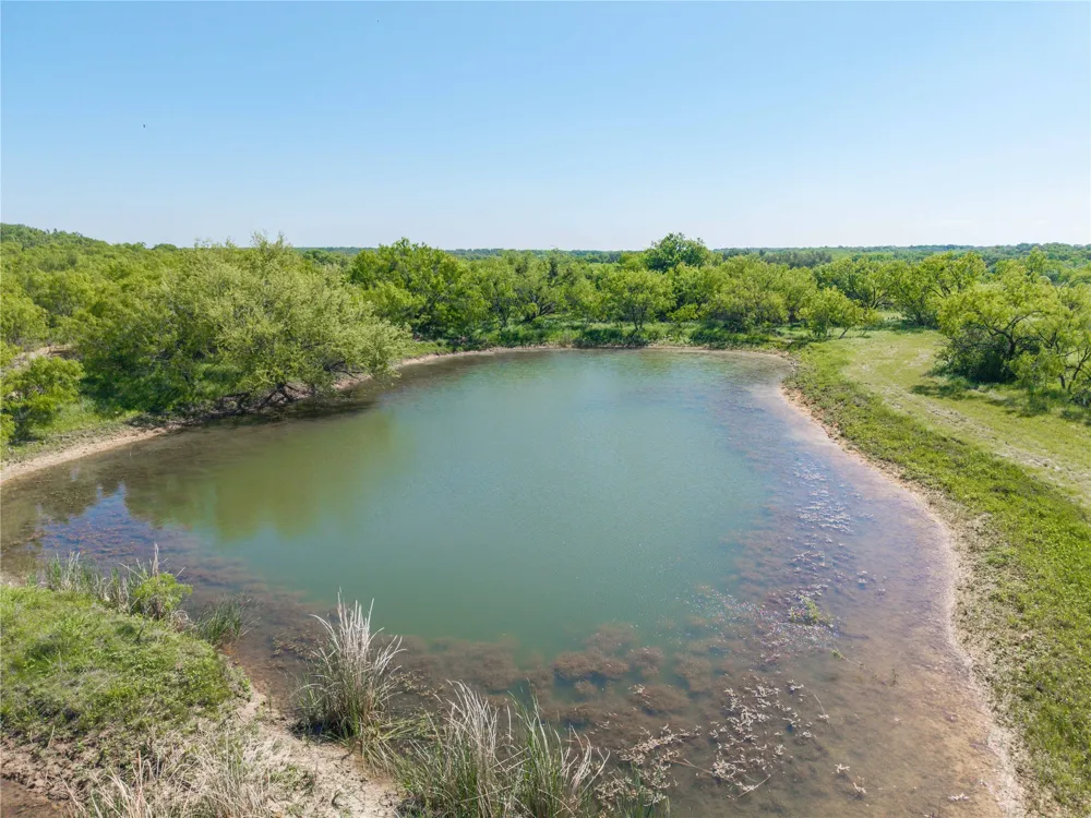 91 Co Rd 370 Carbon, TX 76435