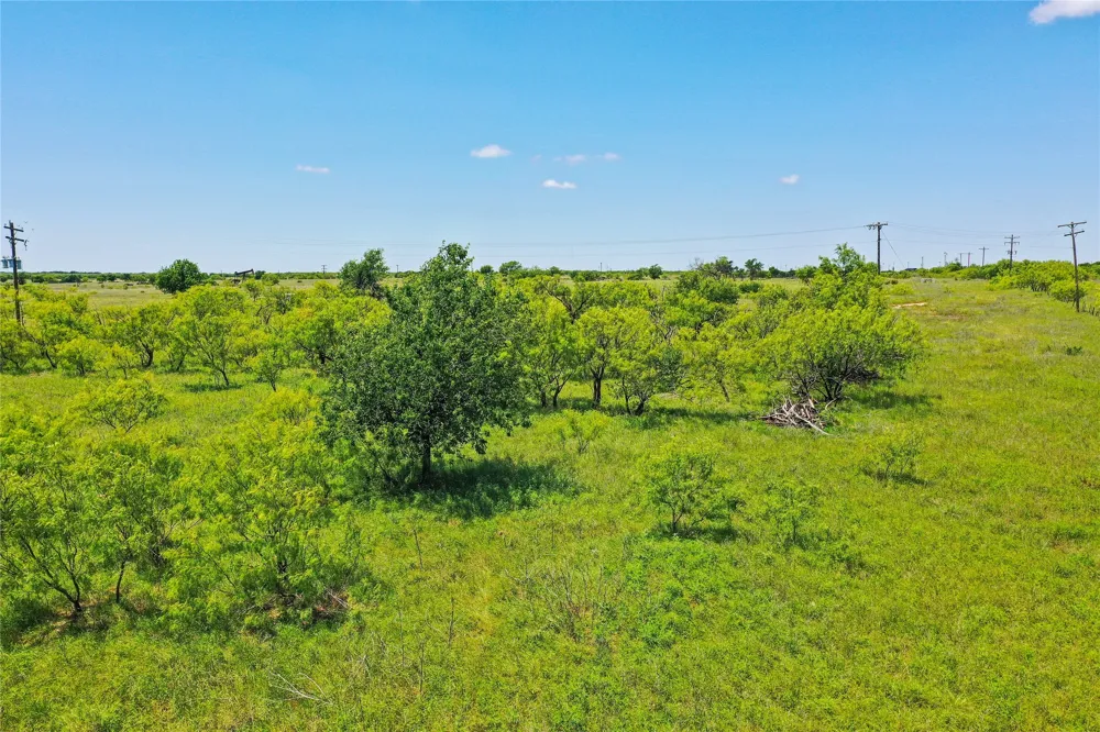 55 281 Highway Jacksboro, TX 76458