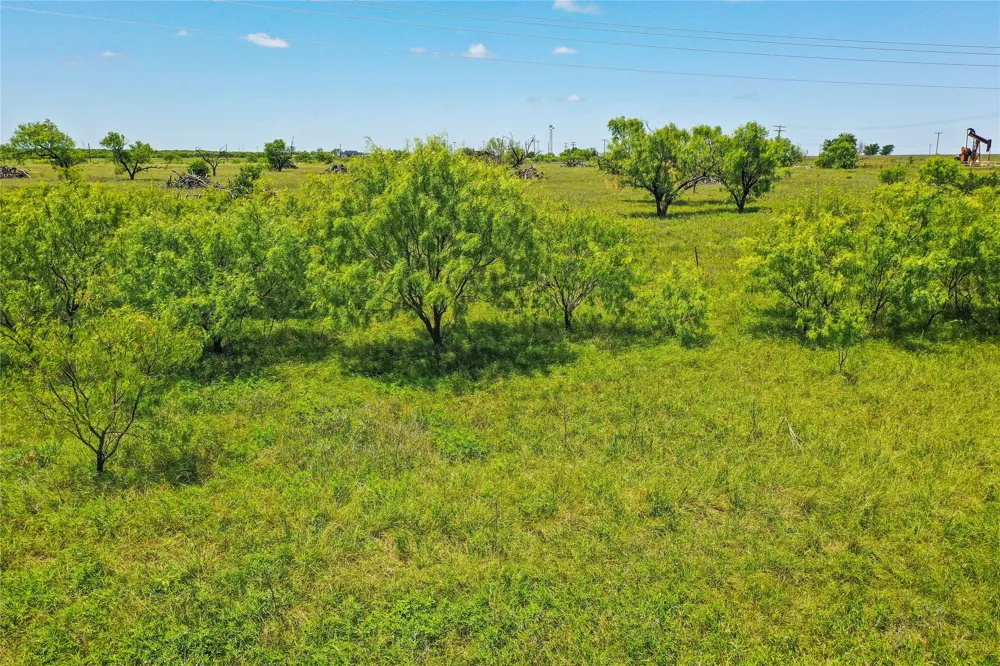 55 281 Highway Jacksboro, TX 76458