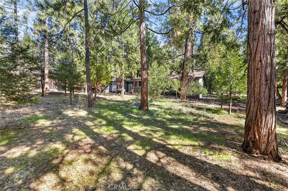 25455 Tahquitz Idyllwild, CA 92549