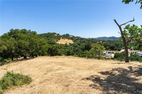 Los Gatos Road