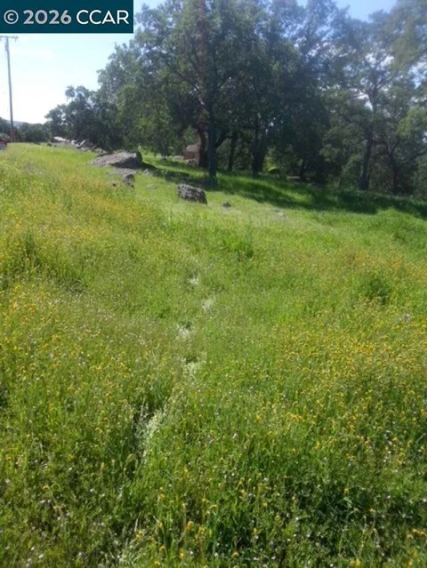 56 Deer Hollow Trail