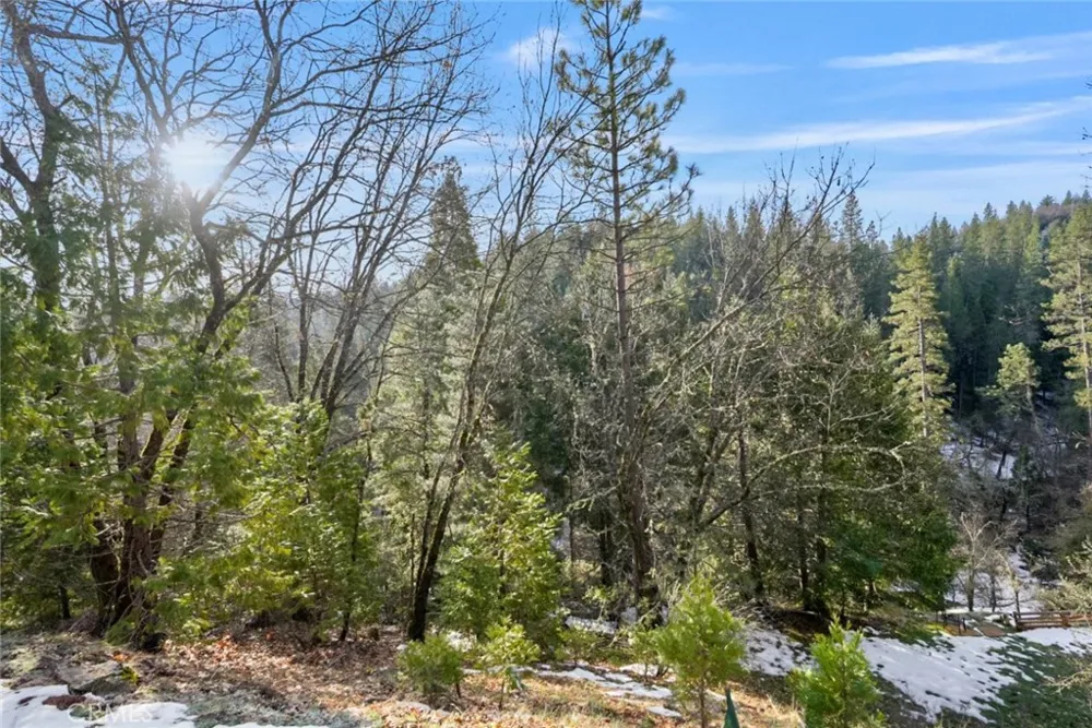 1191 Barney Way West Point, CA 95255