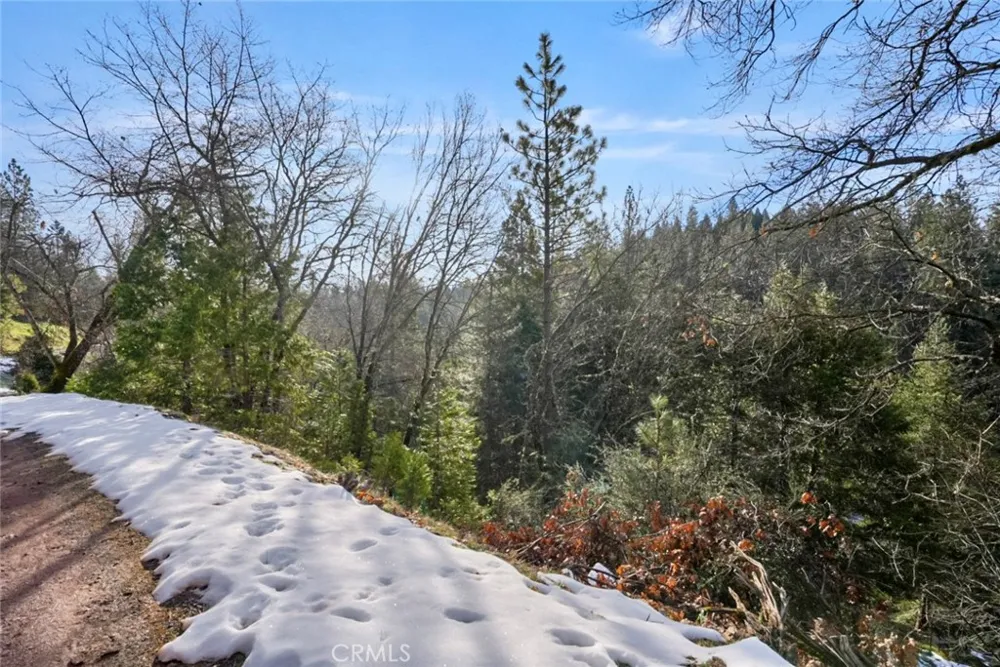 1191 Barney Way West Point, CA 95255