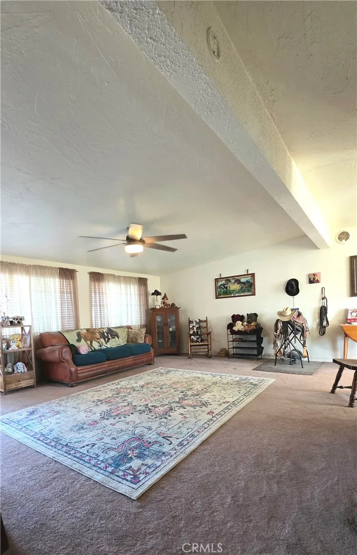 47527 Silver Valley Road Newberry Springs, CA 92365