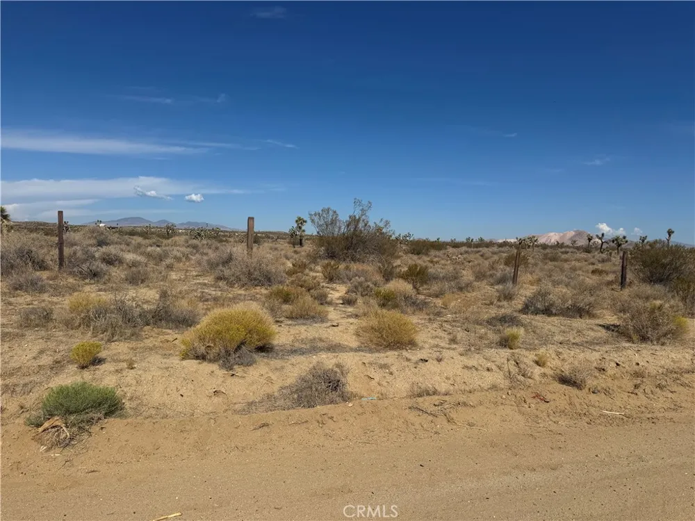 Seirra hwy Rosamond, CA 93560