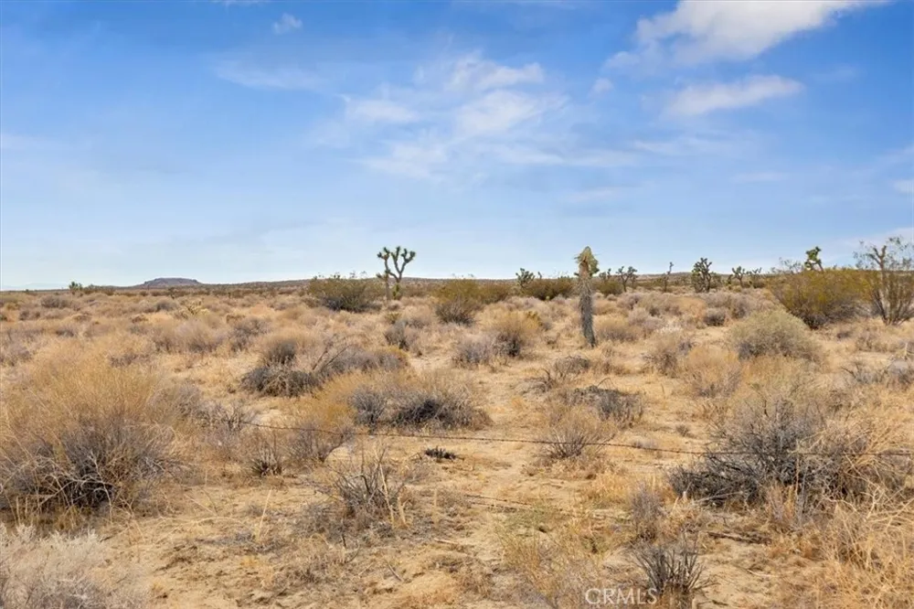 Seirra hwy Rosamond, CA 93560
