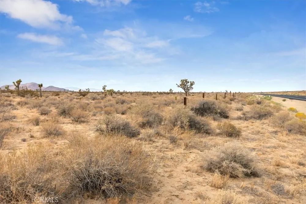 Seirra hwy Rosamond, CA 93560