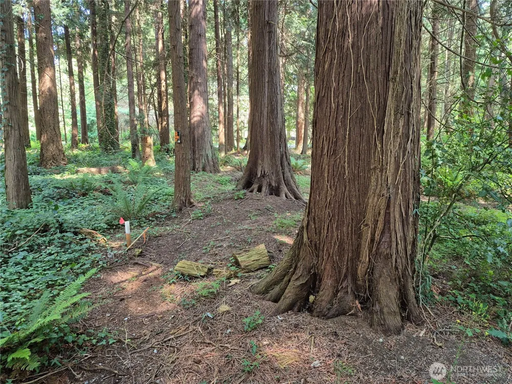 35275 Hood Canal Drive NE Kingston, WA 98346