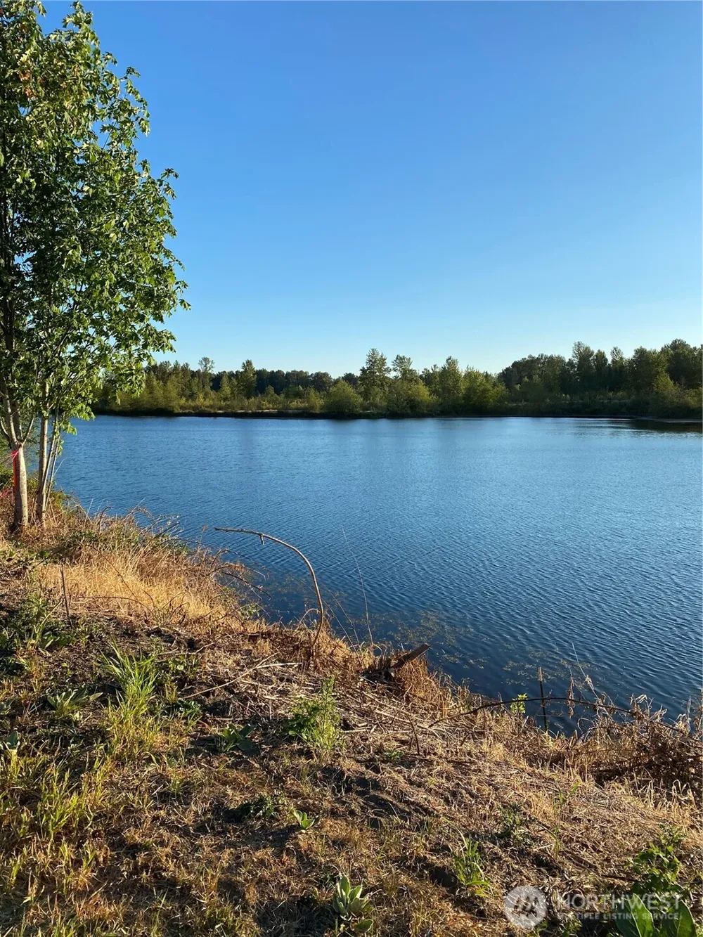 243 -12 Collins Road Toledo, WA 98591