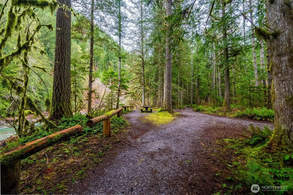 10500 Mt Baker Hwy #906 Deming, WA 98244