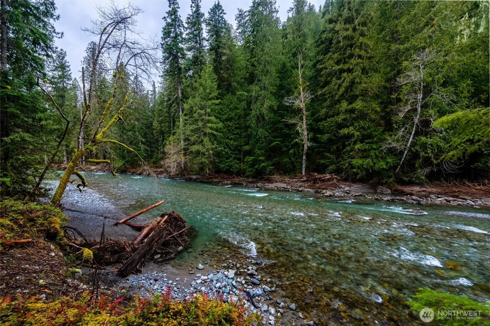10500 Mt Baker Hwy #906 Deming, WA 98244
