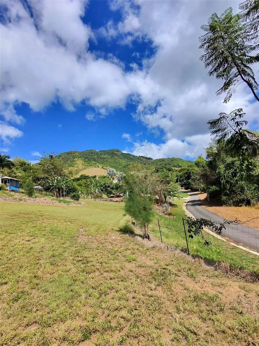 717 CARR. 717, 4.2 INT, LOT 5 Aibonito, PR 00705