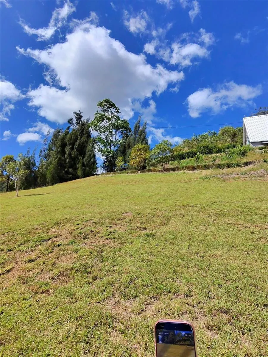 717 CARR. 717, 4.2 INT, LOT 5 Aibonito, PR 00705