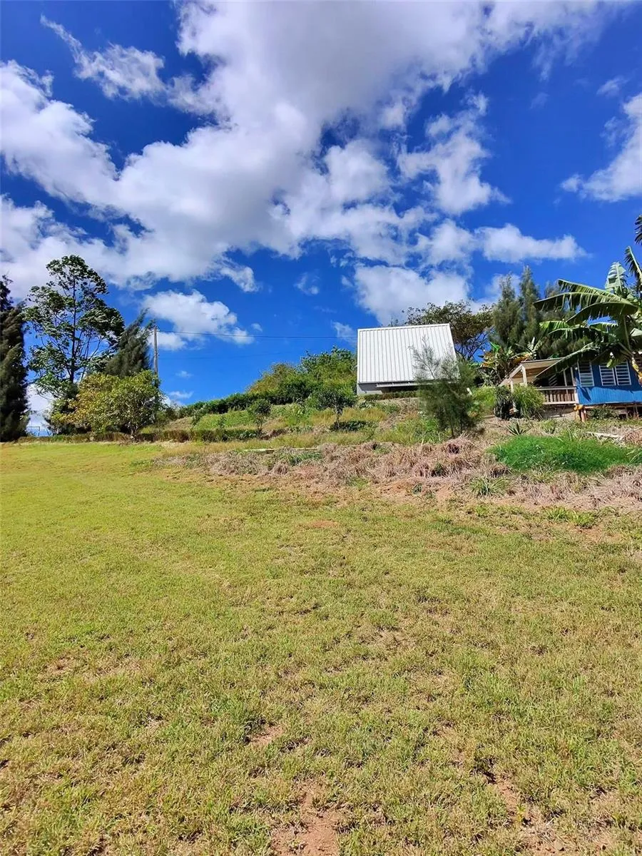 717 CARR. 717, 4.2 INT, LOT 5 Aibonito, PR 00705