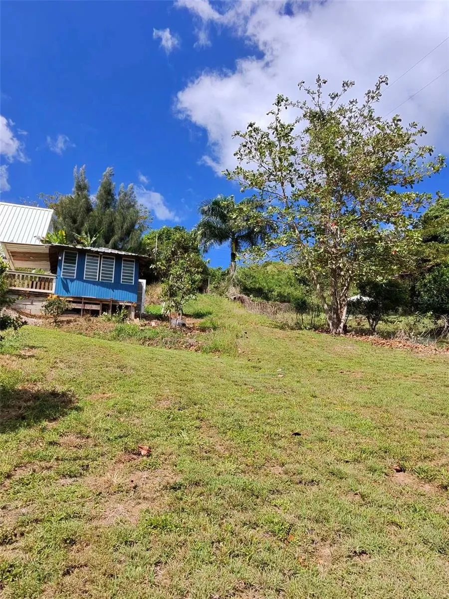 717 CARR. 717, 4.2 INT, LOT 5 Aibonito, PR 00705