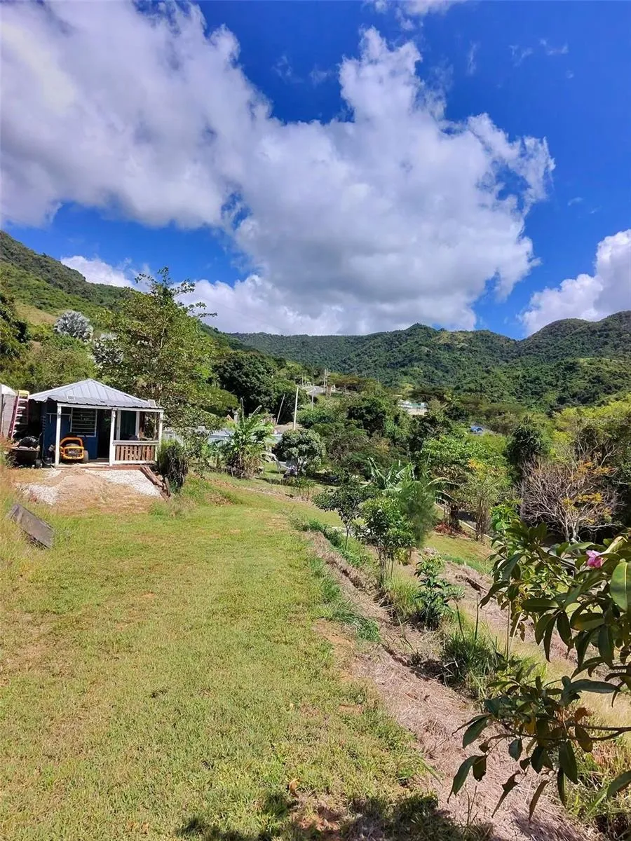717 CARR. 717, 4.2 INT, LOT 5 Aibonito, PR 00705