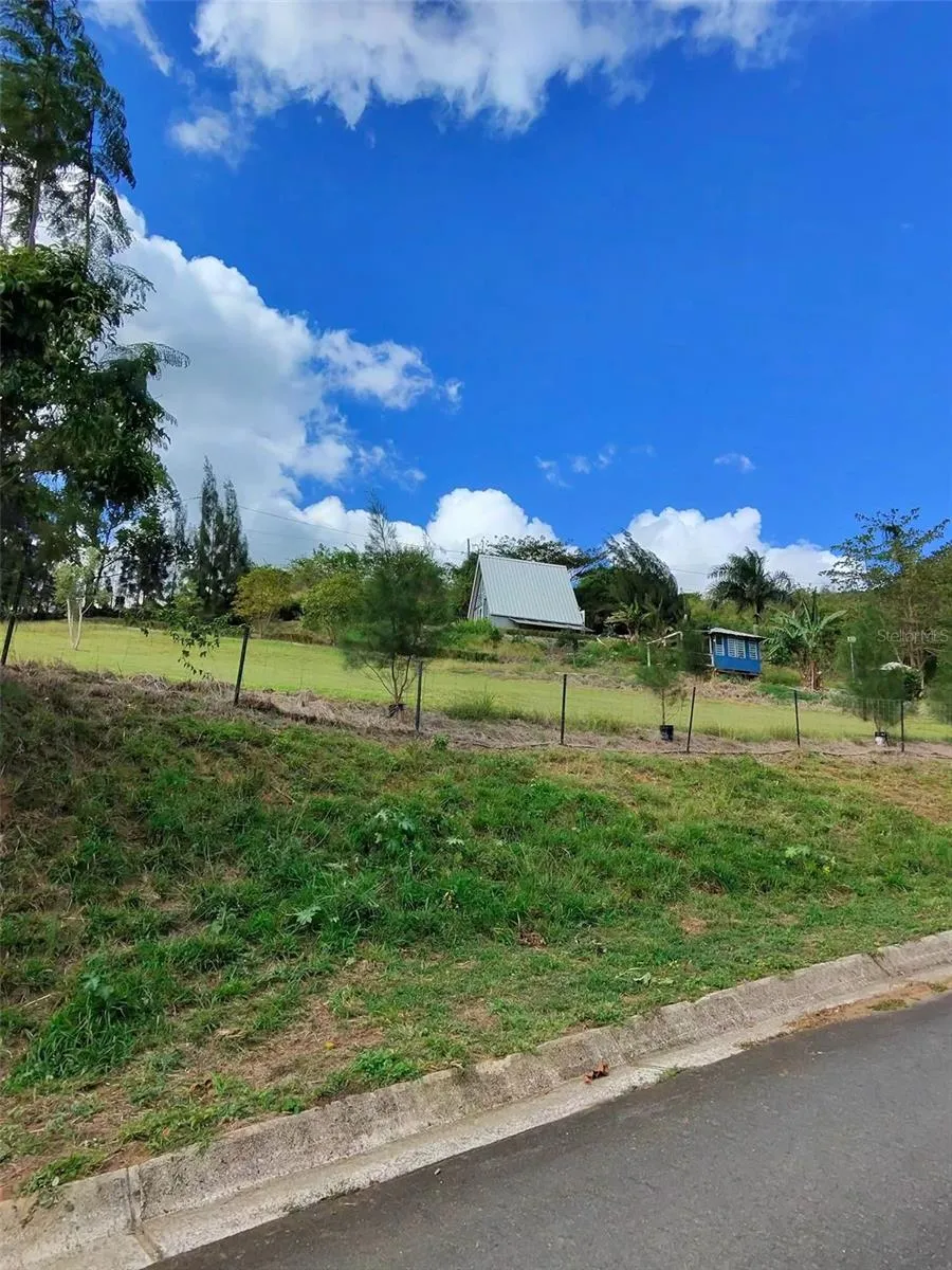 717 CARR. 717, 4.2 INT, LOT 5 Aibonito, PR 00705